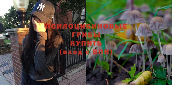 экстази Арсеньев