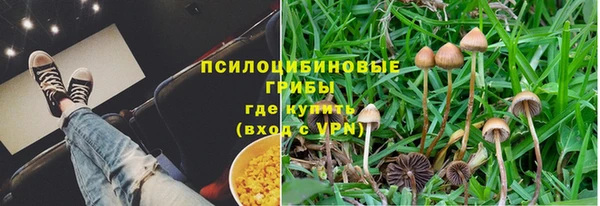 экстази Арсеньев