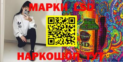 spice Тара