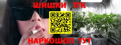 spice Тара