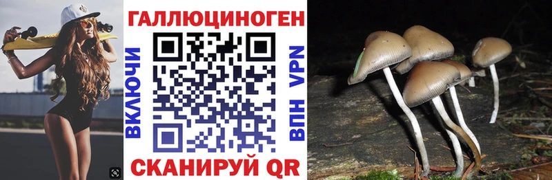 Псилоцибиновые грибы GOLDEN TEACHER Новодвинск